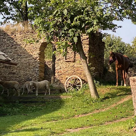 Chalet Chalupka Polom